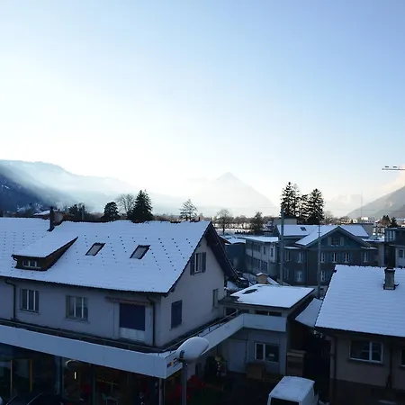 Silberdistel - Griwa Rent Ag