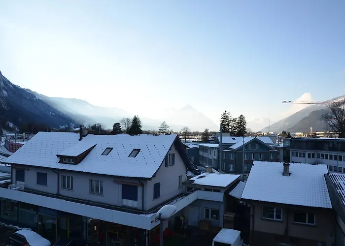 Silberdistel - Griwa Rent Ag